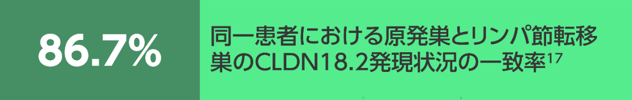 同一患者における原発巣とリンパ節転移巣のCLDN18.2発現状 況の一致率17