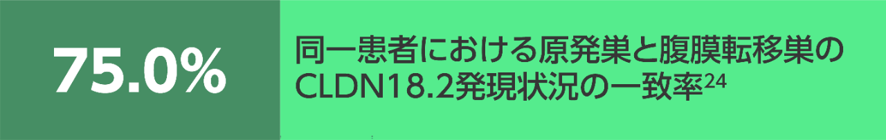同一患者における原発巣と腹膜転移巣のCLDN18.2発現状況の 一致率24