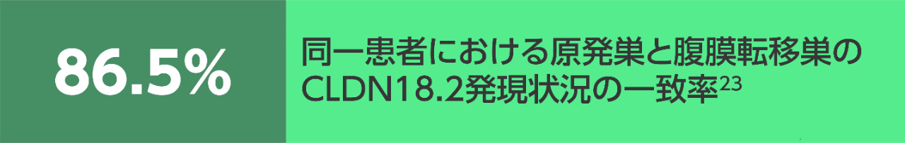 同一患者における原発巣と腹膜転移巣のCLDN18.2発現状況の 一致率23