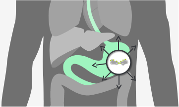 胃腺癌のリンパ節転移巣や遠隔転移巣において発現するCLDN18.2
